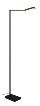 Piantana da Interno a LED in Metallo Nero Opaco