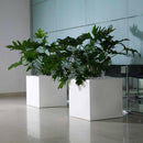 Vaso 50x50 cm in Resina Arkema Iris Vase Cherry