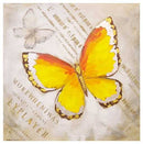 Quadro farfalla arancione cm 100x3xh100