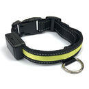 Collare luminoso a LED Taglia M per cani a ricarica solare e usb Rosso