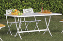 Tavolo da Giardino Pieghevole 140x80x75 cm in Acciaio RD Italia Hermes 140 Bianco