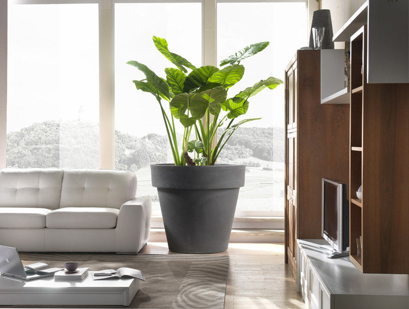 Vaso in Polietilene Standard One Antracite Varie Misure