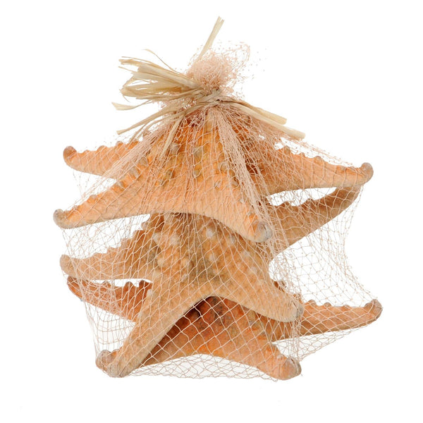 online Set 12 Stelle Marine in Rete 20 cm