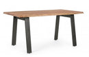 Tavolo da Giardino 160x90x76 cm in Acciaio e Legno