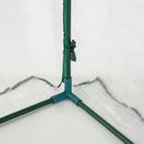 Serra da Giardino per Piante con 3 Porte in Acciaio e PVC 300x100x80 cm 