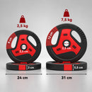 Dischi Palestra Set 4 con Maniglie 20 kg e Foro 2,5 cm in PP e Cemento      