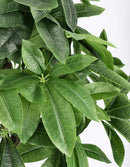 Set 2 Piante Artificiali con Vaso Ø 60x120 cm Pachira Acquatica in Plastica