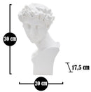 Scultura Roman Young 20x17,5x30 cm in Poliresina 