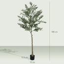 Pianta Artificiale di Olivo Alta 180 cm con 900 Foglie e 40 Olive Vaso Incluso Nero   