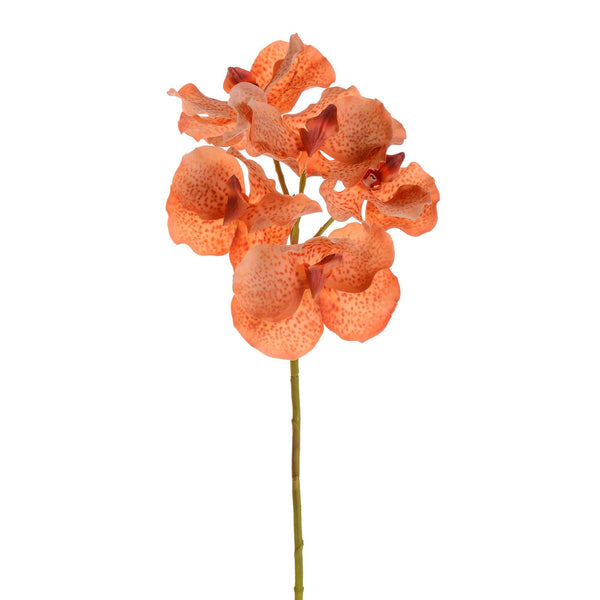 prezzo Lot de 3 orchidées Vanda artificielles hauteur 62 cm orange