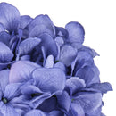 Set 2 Ortensia Artificiale Altezza 71 cm Blu