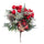 Set 24 Pics avec Cadeau H24 cm Rouge