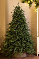 Albero di Natale Artificiale H198 cm Abete Monterosa con 3479 Tips Verde