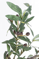 Pianta Artificiale Ulivo 984 Foglie H156 con Vaso Verde