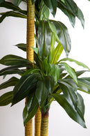 Pianta Artificiale Tronco Della Felicità con Vaso H 150 cm