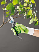 Forbice per Potatura Alberi da Frutto Ø20 mm in Acciaio sk5 Rama