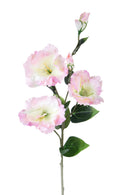Set 12 Rami Artificiali Lisianthus con 5 Fiori 72 cm