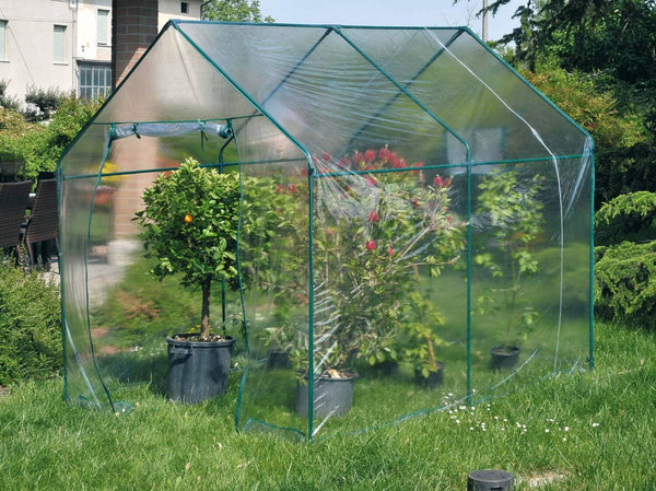 Serre de jardin en acier avec tissu vert Narcissus Rama sconto