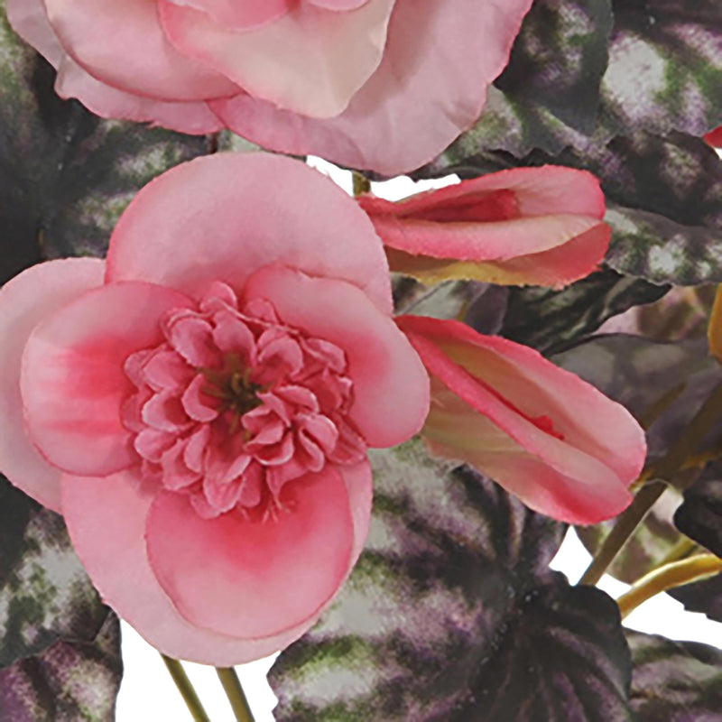 Set 6 Begonia Fiorita Artificiali Composta da 5 Fiori Altezza 28 cm Rosa