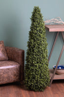 Foglie di Bosso Cono H 145 cm