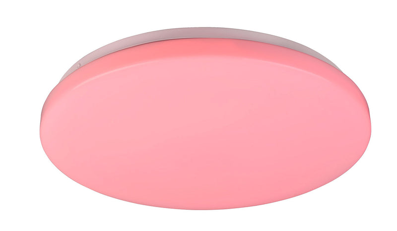 Plafoniera da Interno a LED in Plastica Bianco