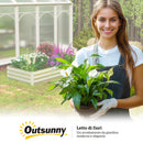 Letto per Orto Rialzato con Fondo Aperto 241x90,5x30 cm in Metallo Argento   