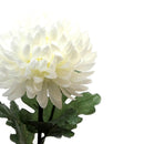 Set 6 Crisantemo Turner H 72 cm