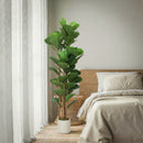 Pianta di Fico Artificiale Verde 50x50x150 cm in PEVA e Legno con Vaso Contenitore in PP e Cemento      