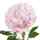 Set 4 Rami Artificiali Peonia Gigante H 57