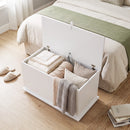 Cassapanca Contenitore Portascarpe 80x40x45 cm con Coperchio di Sicurezza e Fondoletto in Truciolato Bianco      