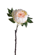 Set 8 Peonia Artificiale Altezza 48 cm Giallo