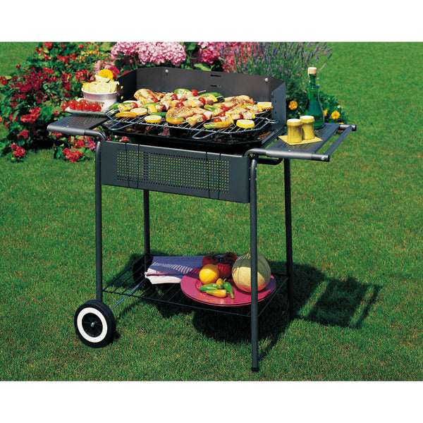 Barbecue Port Camargue Charbon Charbon Acier prezzo