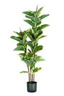 Pianta Artificiale Ficus Elastica H145 cm con Vaso Verde