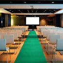 Tappeto Passatoia da Esterno/Interno 1x30m in Polipropilene Rubino Verde