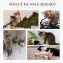 Tiragraffi per Gatti in Truciolato 44x24x16 cm con Gioco di Piume in Truciolato Peluche e Sisal Grigio