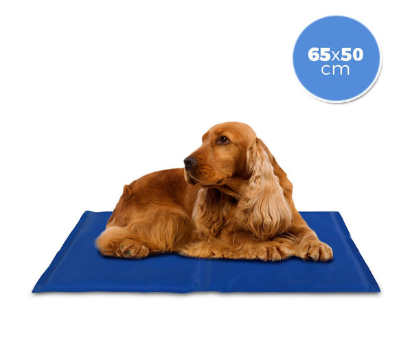online Tapis rafraîchissant 65x50 cm avec gel rafraîchissant pour chiens de taille moyenne