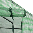 Serra da Giardino con Scaffali 143x138x190 cm in PE e Porta Avvolgibile Verde