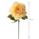 Set 6 Fiori Artificiali Peonia 65 cm 