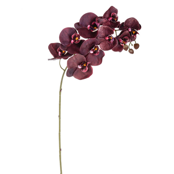 Set 3 Phalaenopsis artificiels Real Touch Artificiel avec 9 fleurs Hauteur 91 cm prezzo