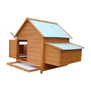 Gabbia Pollaio per Galline da Giardino in Abete legno e verde 160x98.5x107 cm 