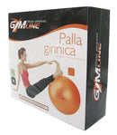 Palla Ginnica Ø65 cm per Palestra Fitness Arancione