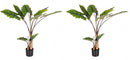 Set 2 Piante Artificiali Dieffenbachia Ø100x134 cm in Plastica con Vasi Verde