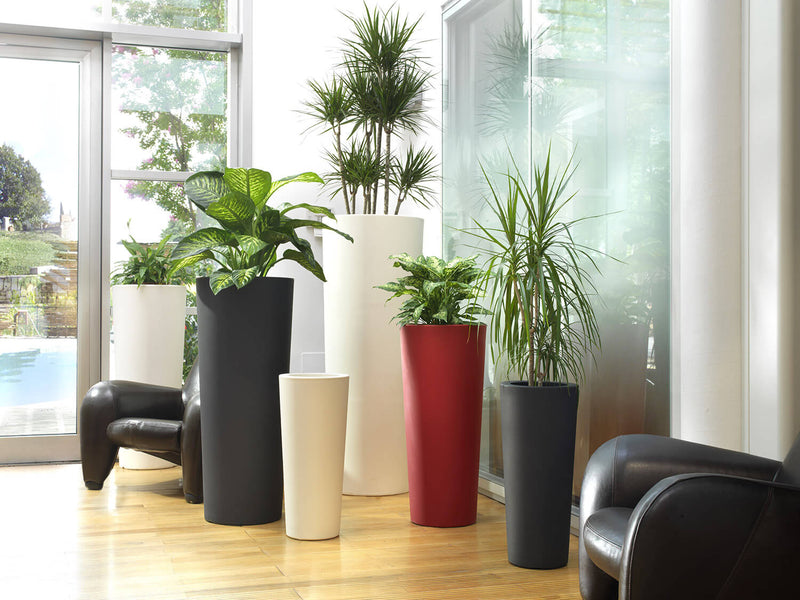 Vaso in Polietilene Tulli Schio Cono Essential Cappuccino Varie Misure