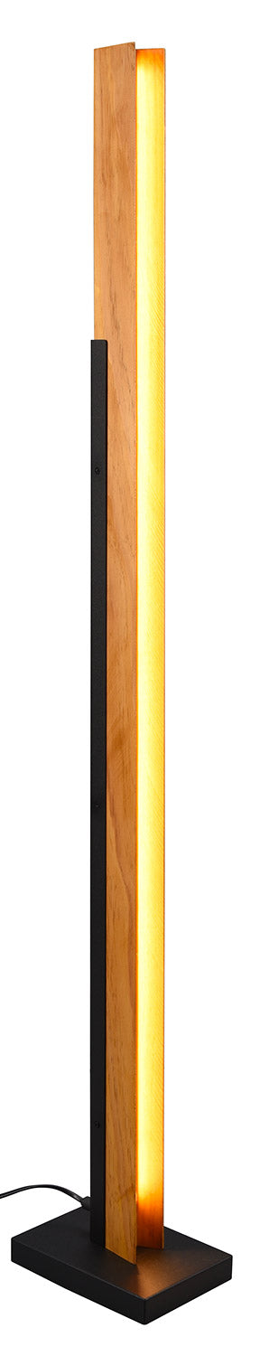 Piantana da Interno a LED in Metallo Nero Opaco online