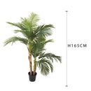 Pianta Artificiale Areca con Vaso H 165 cm