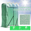 Serra da Giardino con Porta Avvolgibile 100x50x150 cm in Acciaio e PE Verde