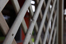 Traliccio grigliato per Piante 180x180 cm in Legno