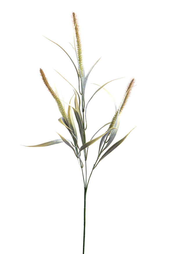 Lot de 24 Plantes Artificielles de Setaria Composées de 3 Branches Hauteur 84 cm Marron prezzo