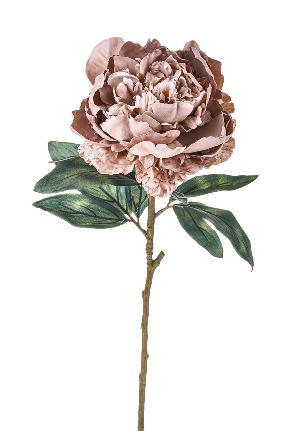 prezzo Set 4 Pivoines Artificielles Vieillies Hauteur Unique 72 cm Beige