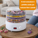 Mini Essiccatore Elettrico per Alimenti con 5 Vassoi e Coperchio 35°-70° Bianco      